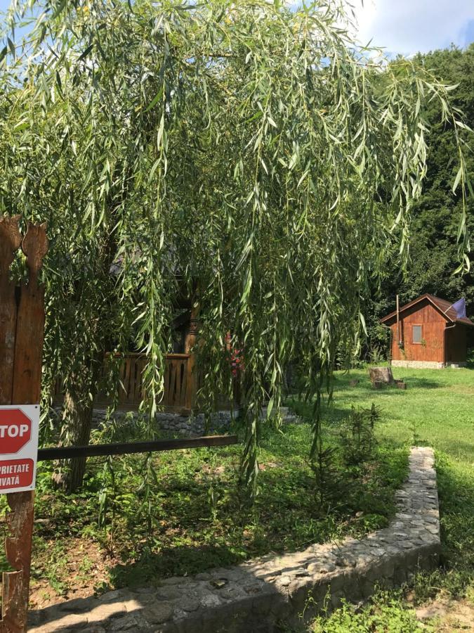 Pensiunea Valea Tonii Strungari Exterior foto